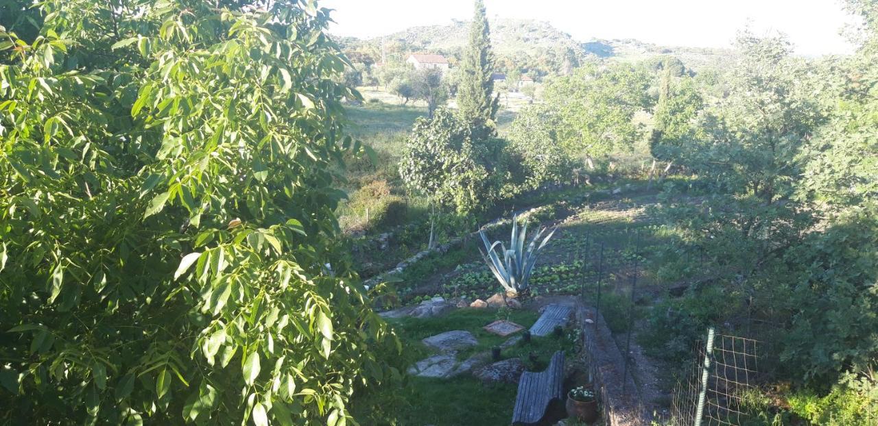 Casa Da Vizinha, Quinta Das Memorias Santo António das Areias Esterno foto