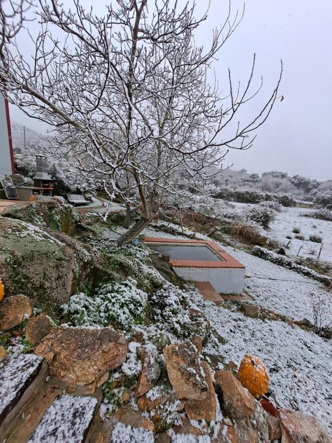 Casa Da Vizinha, Quinta Das Memorias Santo António das Areias Esterno foto