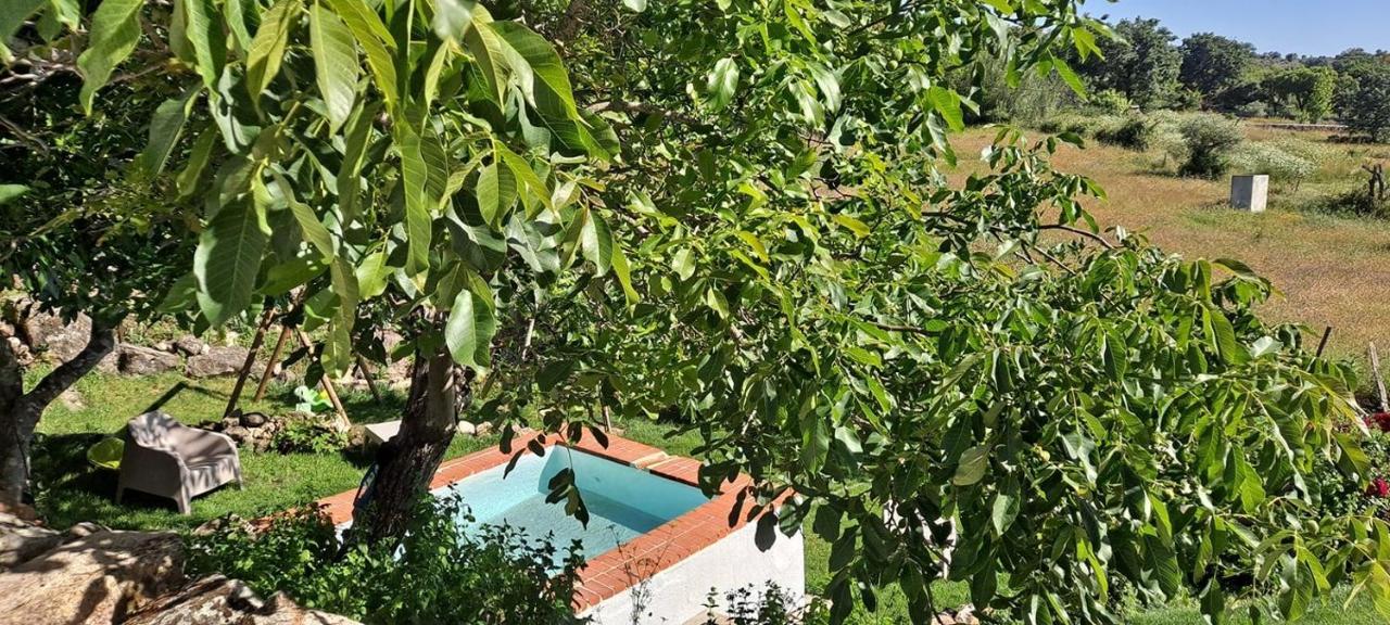 Casa Da Vizinha, Quinta Das Memorias Santo António das Areias Esterno foto